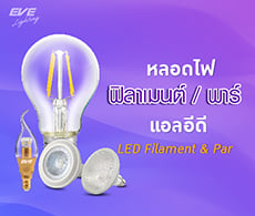 LED Filament & Par