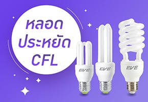Compact Fluorescent Bulbs