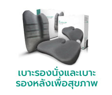Back & Seat Cushion