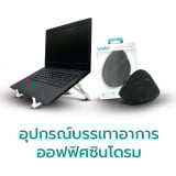 Ergonomic Office Set