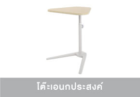 โต๊ะอเนกประสงค์