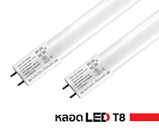 LED LAMP T8