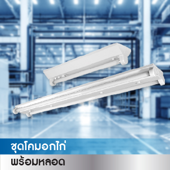 Fluorescent Lamp Sets