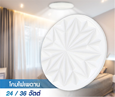 LED Ceiling Lamps