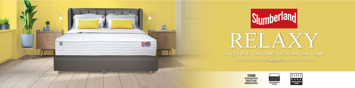 สินค้าใหม่