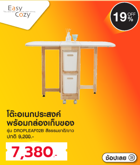 โต๊ะอเนกประสงค์ EASYCOZY