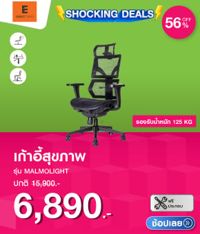 เก้าอี้สุขภาพ ERGOTREND MALMOLIGHT