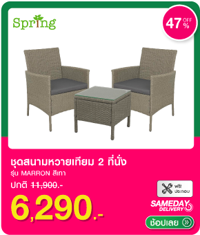 ชุดสนามหวายเทียม 2 ที่นั่ง SPRING