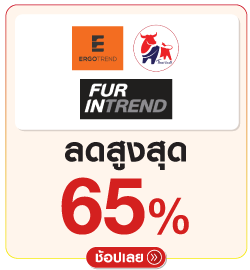 ERGOTREND x FURINTREND x THAIBULL
