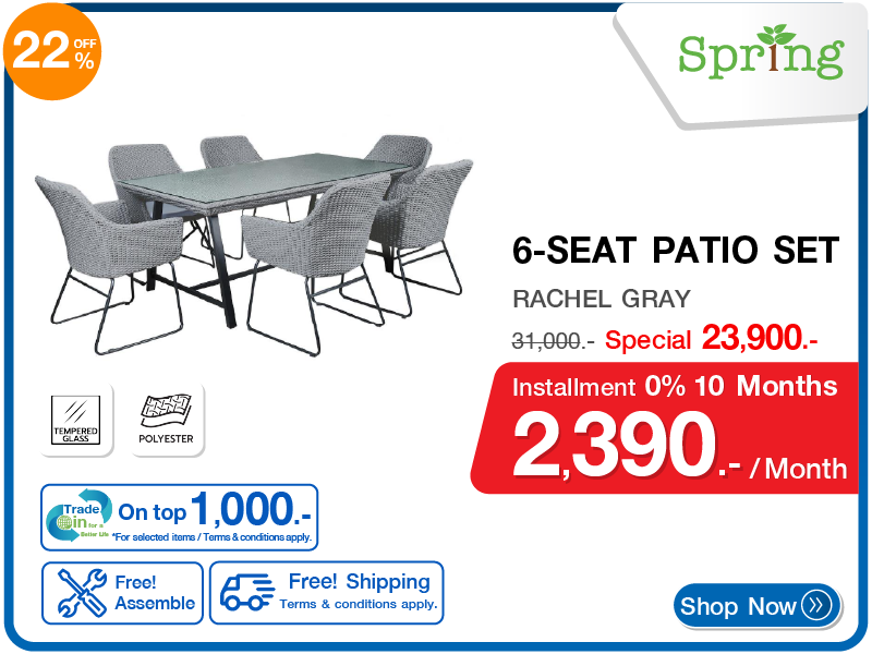 ชุดสนามหวายเทียม 6 ที่นั่ง SPRING