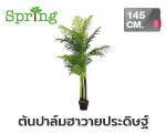 ต้นปาล์มฮาวายประดิษฐ์ SPRING 145 ซม.