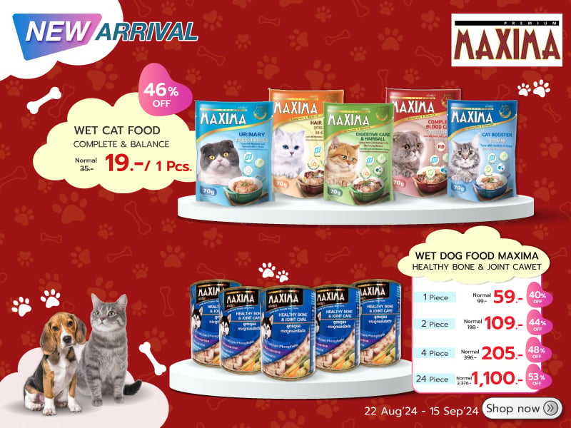 Pet Maxima Thailand