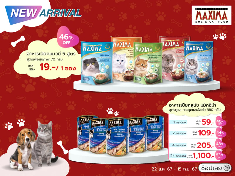 Pet Maxima Thailand