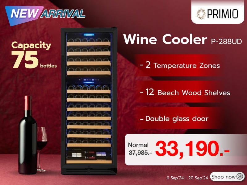 Wine Cooler 2 Temperature