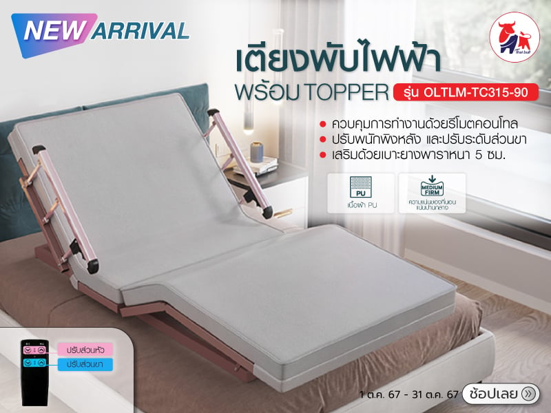 ELECTRIC FOLDABLE BED