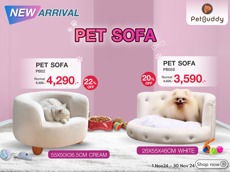 Pet sofa