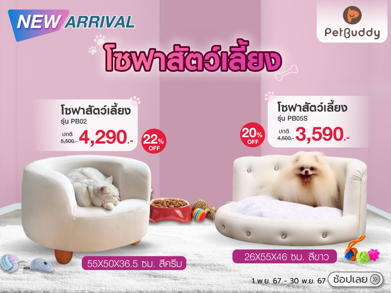 Pet sofa