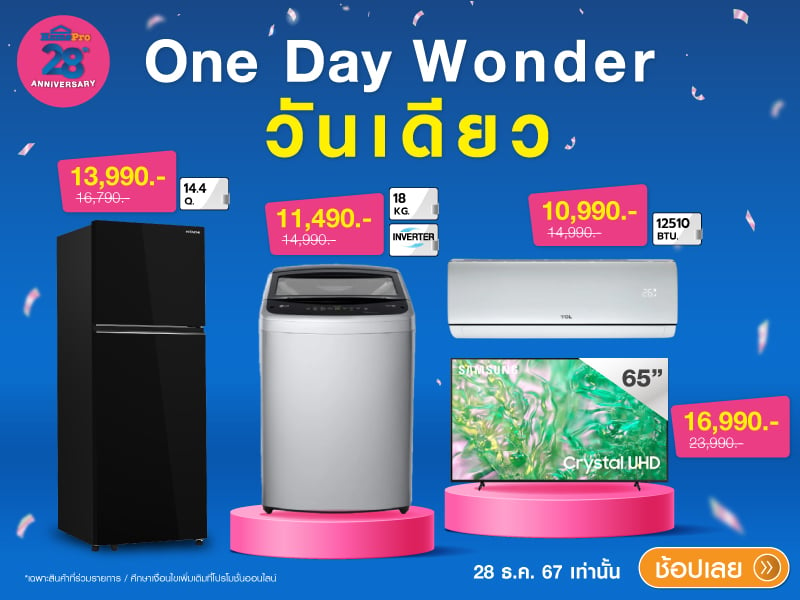 ONE DAY WONDER Product