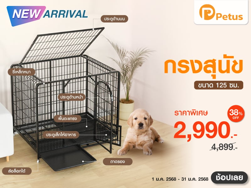 Dog Crate