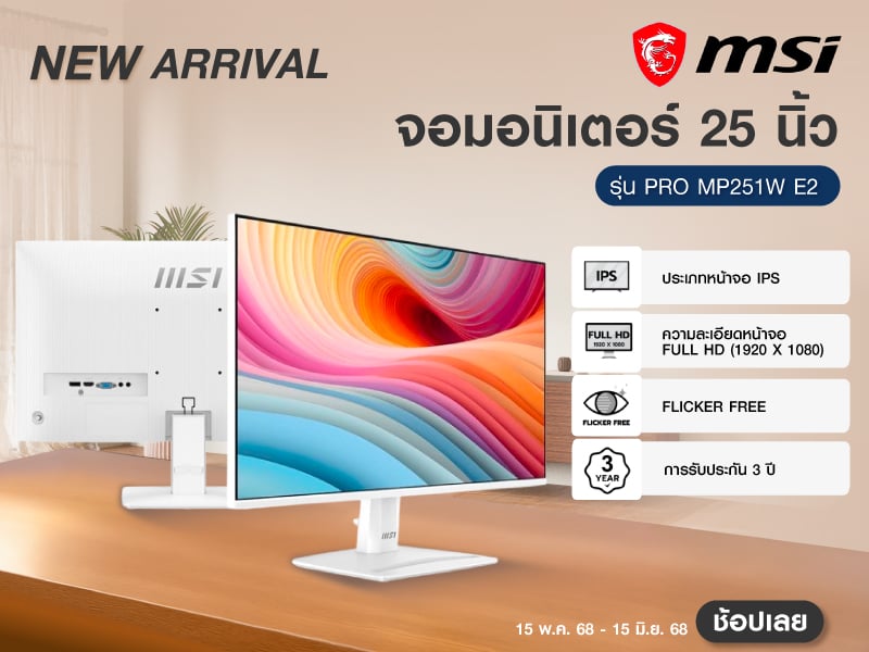 MSI PRO MP251W