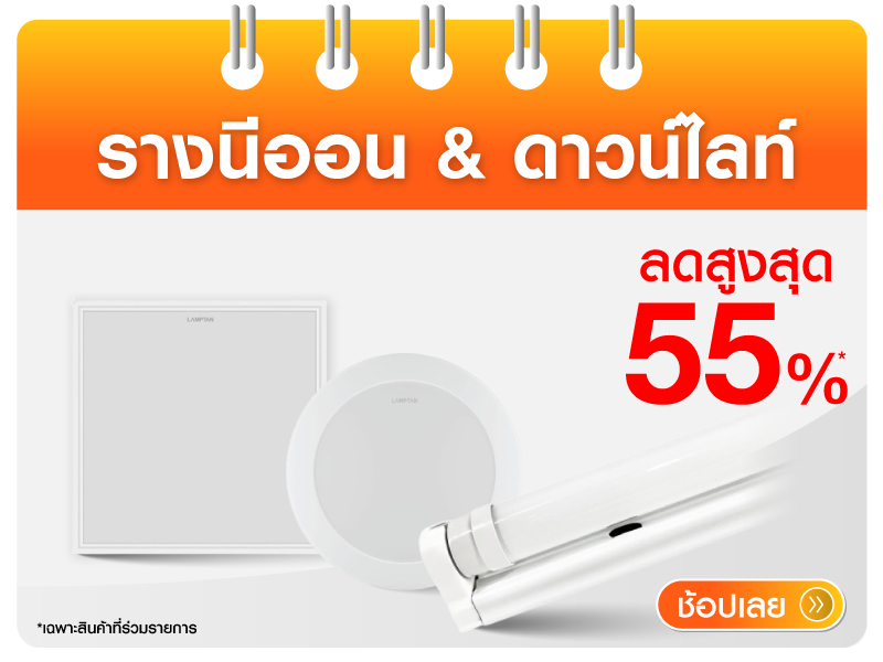 รางนีออน & ดาวน์ไลท์