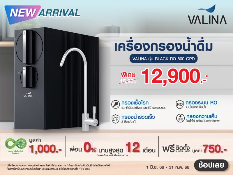 VALINA BLACK RO 800G  