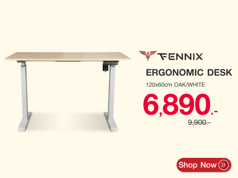 Desk Fennix LINNMON