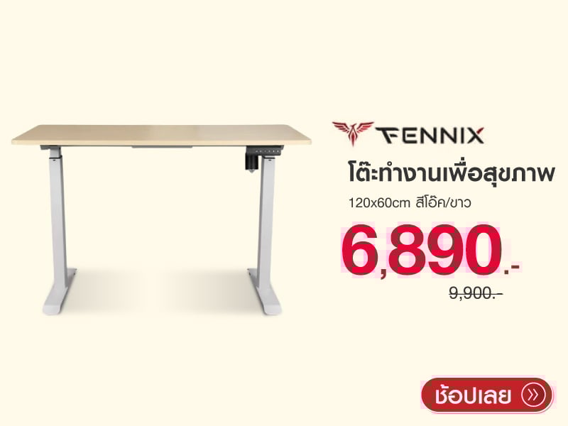 โต๊ะทำงานเพื่อสุขภาพ Fennix