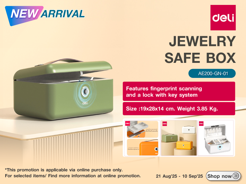 JEWELRY safe box