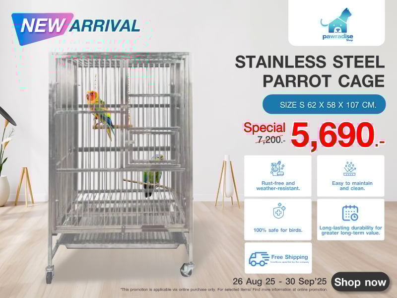 STAINLESS STEEL PARROT CAGE STAINLESS STEEL PARROT CAGE