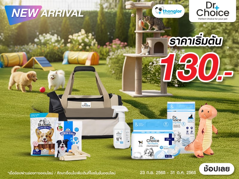 New Arrival DR.Choice 