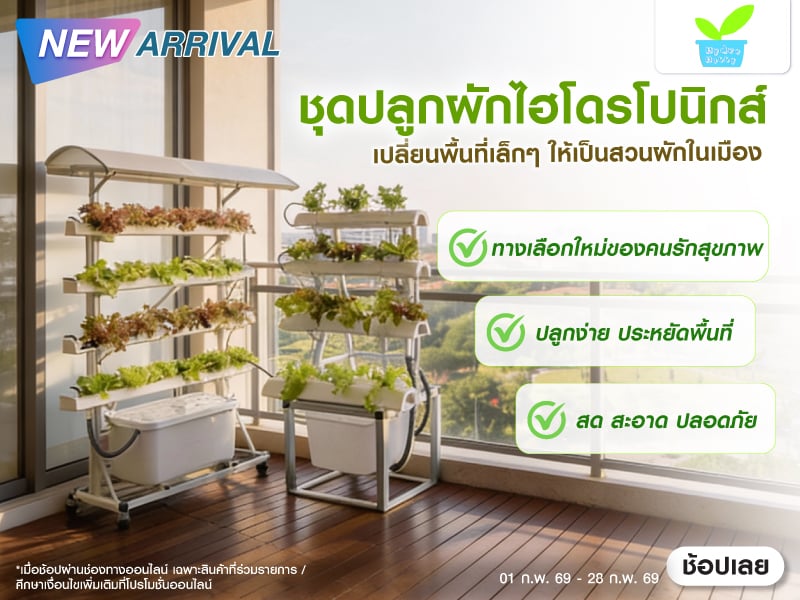 Turn Small Spaces into Your Own Urban Garden