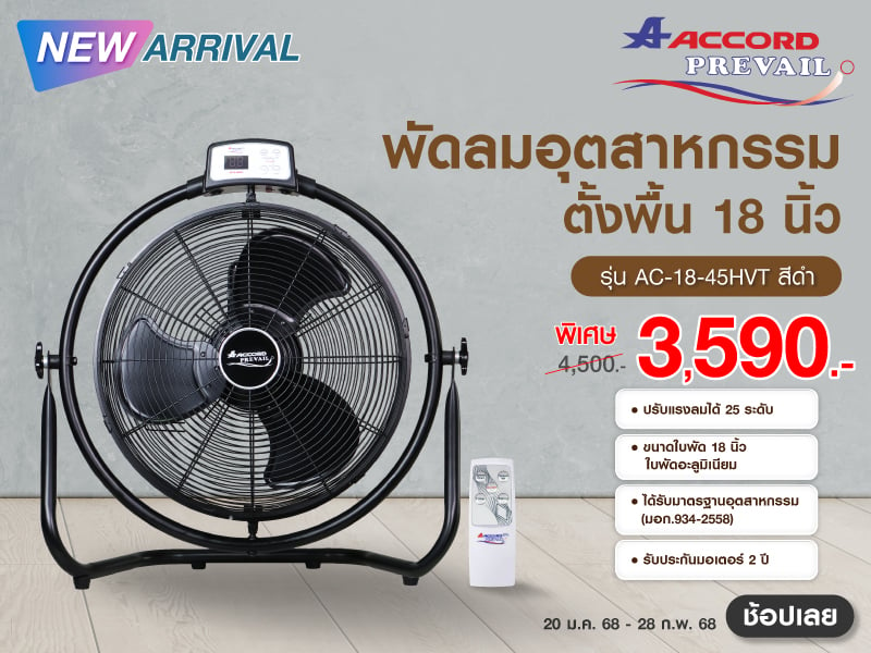 NEW Arrival FAN