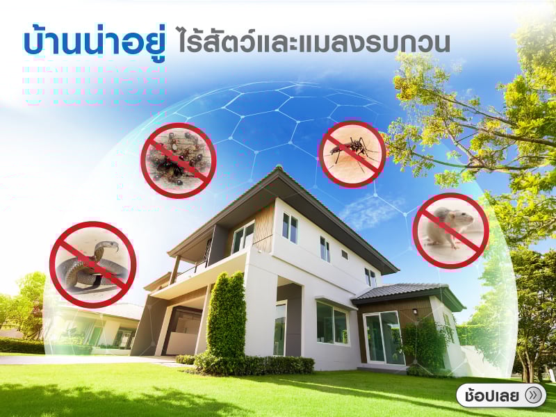 หมดปัญหา แมลงและสัตว์รบกวน