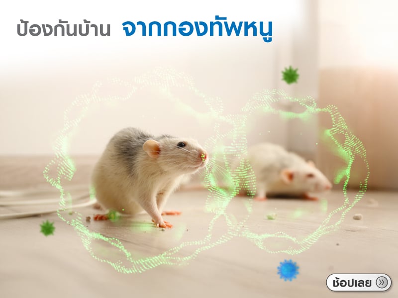 ป้องกันหนู