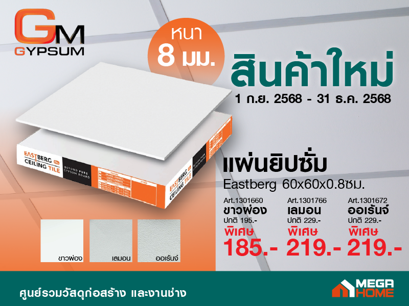 แผ่นยิปซั่ม