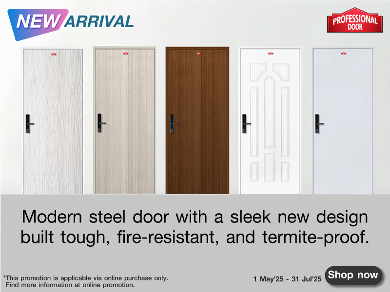 PROFESSIONAL DOOR