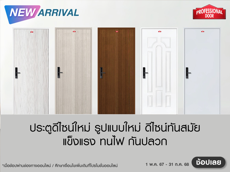 PROFESSIONAL DOOR