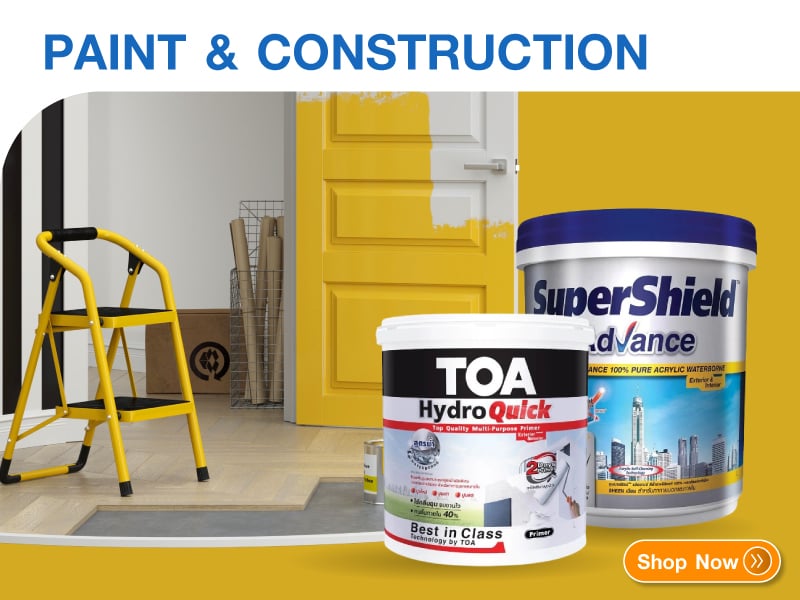 Paint & Construction