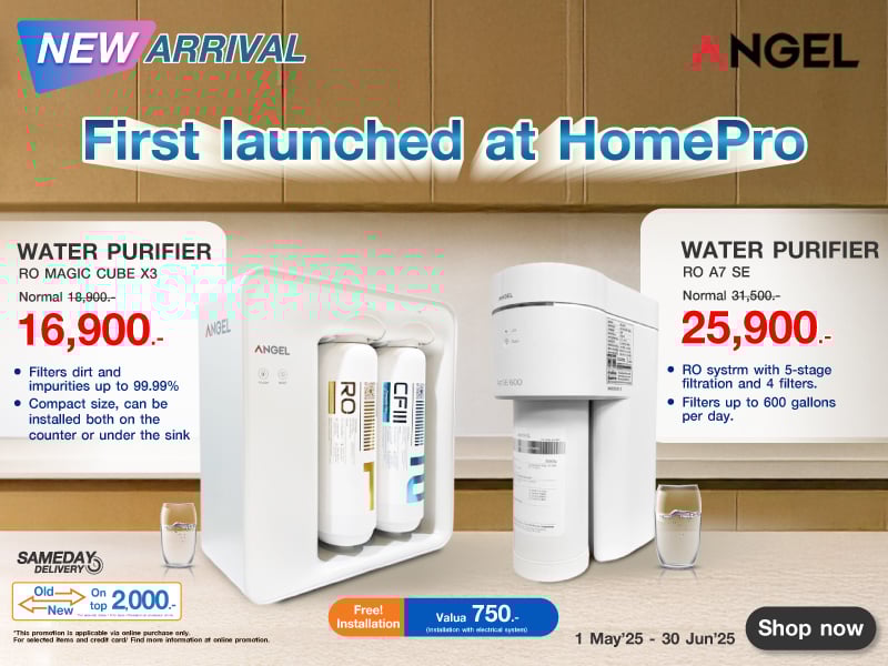 New Arrival Angel
