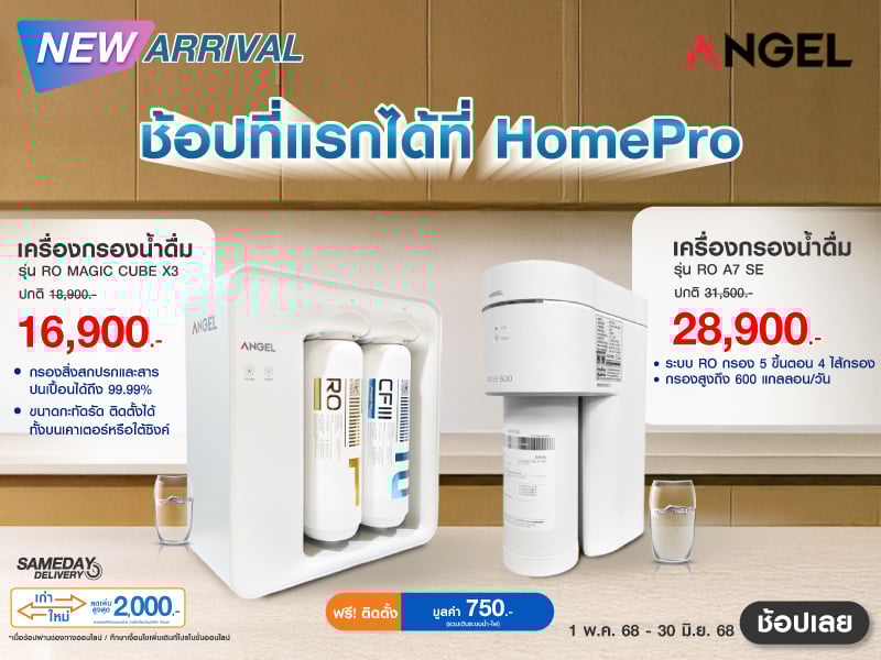 New Arrival Angel