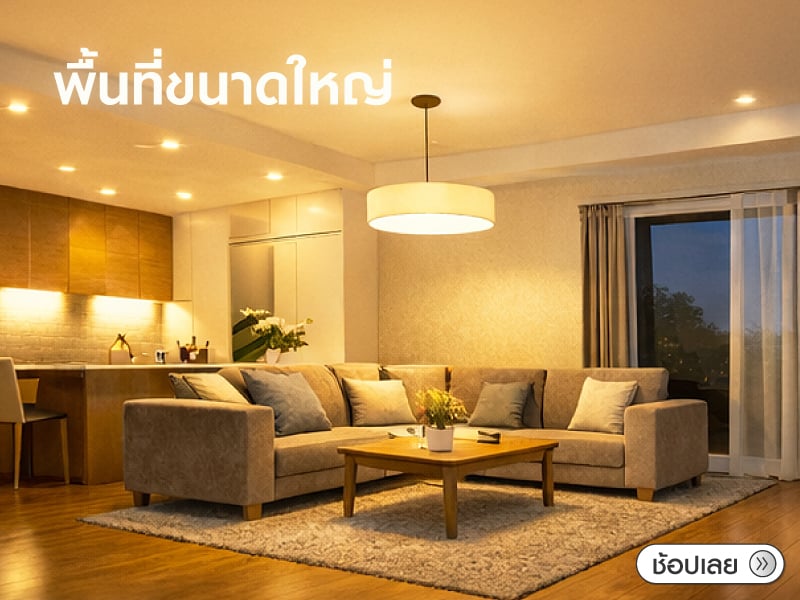 พื้นที่ขนาดใหญ่