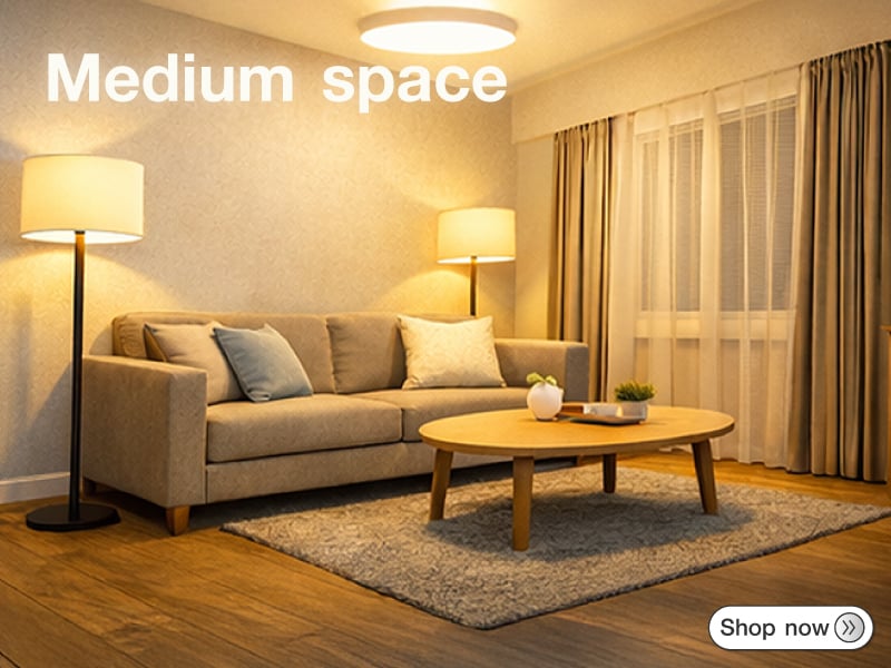 พื้นที่ขนาดกลาง