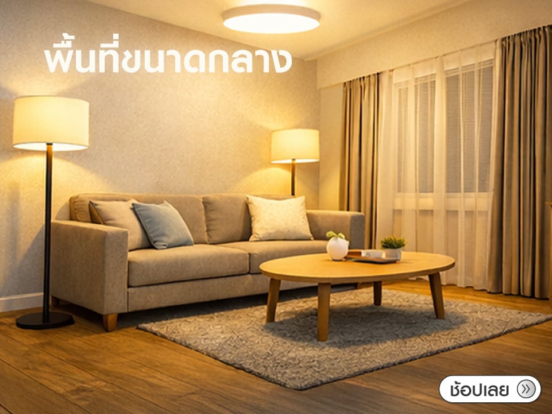 พื้นที่ขนาดกลาง