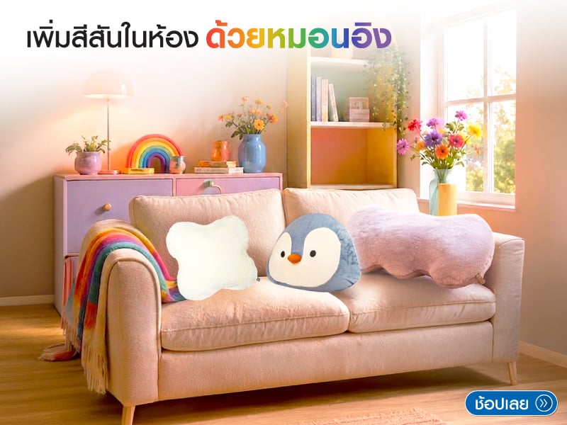 เพิ่มสีสันในห้องด้วยหมอนอิง
