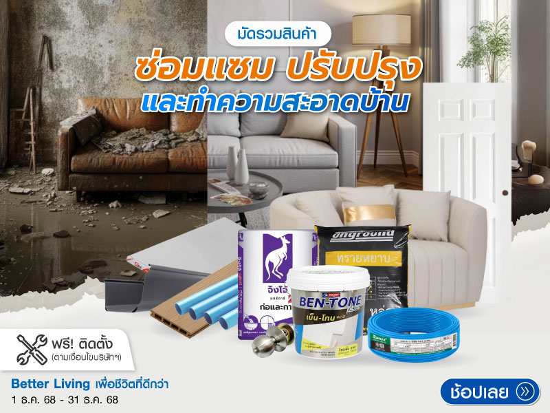 Renovate_Clean-Anywhere