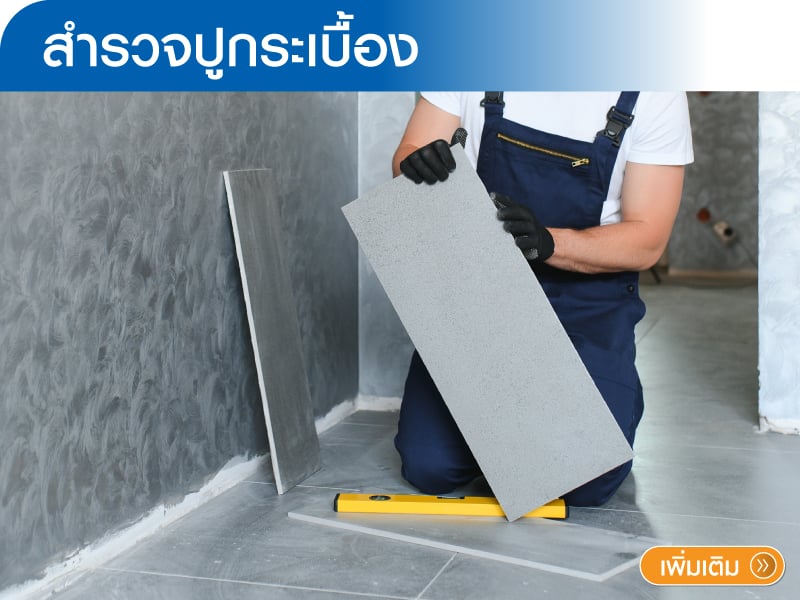 สำรวจปูกระเบื้อง