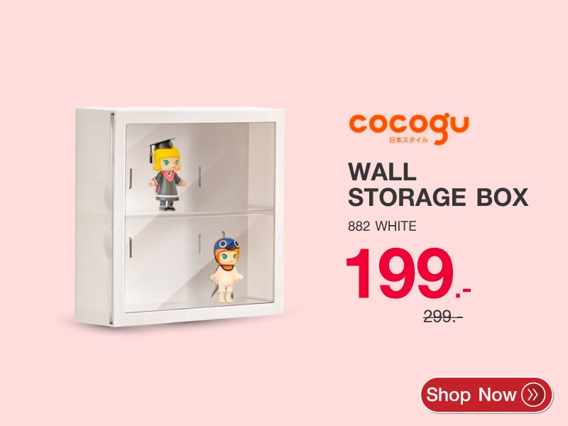Wall Storage box COCOGU 882