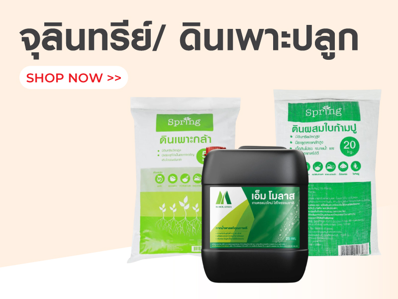 จุลินทรีย์/ ดินเพาะปลูก