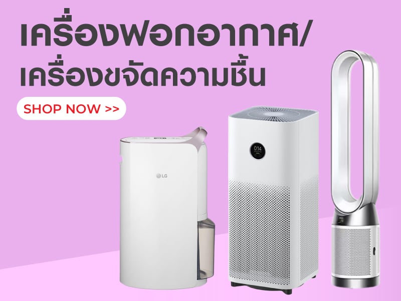 เครื่องฟอกอากาศ/ เครื่องขจัดความชื้น